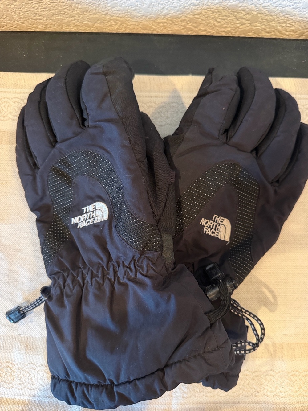 The North Face Black Thinsulate Ski Gloves